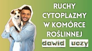 Matura Biologia Podstawa Programowa 2025  Ruchy cytoplazmy w komórce roślinnej [upl. by Twila]