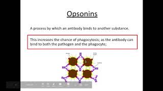 4 1 1 Communiable diseases h The structure and function of antibodies i Action of opsonins [upl. by Imij919]