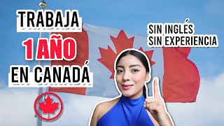 🚨TRABAJA 1 AÑO en CANADÁ SIN SABER INGLÉS y SIN EXPERIENCIA 2022 [upl. by Nahtahoj]