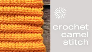 Crochet Camel Stitch Video Tutorial Step by Step  3rd Loop Half Double Crochet  3rd loop HDC [upl. by Yrtnahc]