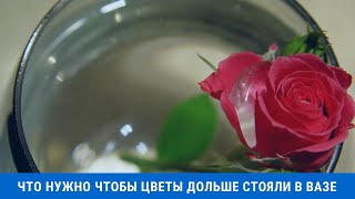 Что нужно сделать чтобы цветы дольше стояли в вазе что добавить в воду [upl. by Damalis]