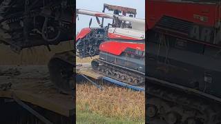 Unloading Kubota machine trending ricefarming automobile new agriculture riceharvester viral [upl. by Gleeson555]