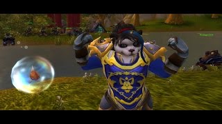 World of Warcraft  Female Pandaren Warrior Animations [upl. by Chancellor]