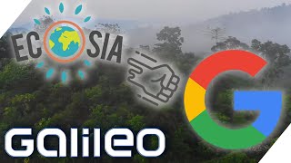 ECOSIA So will die AntiGoogle Firma die Erde grüner machen  Galileo  ProSieben [upl. by Ehcnalb]