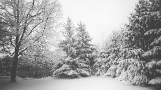 First Snowfall © 2017 — Piano  Classic  Chamber Strings  Violin  Sad  Sorrow  Sentimental [upl. by Ativak]