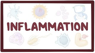 Inflammation  causes symptoms diagnosis treatment pathology [upl. by Ahsart576]