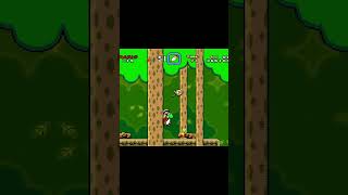 Forest of Illusion Super Mario World  nintendo supermario retrogaming [upl. by Dlonyer]