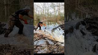 Extreme Water Flow  Beaver Dam Removal shorts beaverdam [upl. by Mcilroy807]