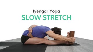 Iyengar Yoga  Slow Stretch [upl. by Ykcim]