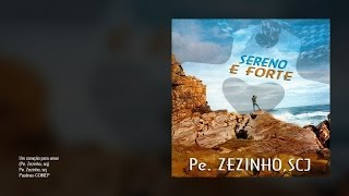 Padre Zezinho scj  Um coração para amar [upl. by Ardiedak473]