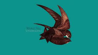 Whale Fall  Sondersongs Full Album [upl. by Winifred640]