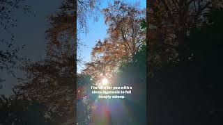 Fall Deeply Asleep with my Relaxing Sleep Hypnosis Walk in Autumn sleephypnosis mindfulness [upl. by Schlessinger596]