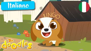 BINGO il cane  Canzoni per Bambini con i Doodles [upl. by Eugenia]