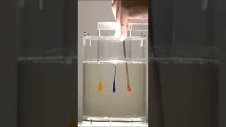 Laminar effect sciencefacts science knowledge facts [upl. by Neret134]