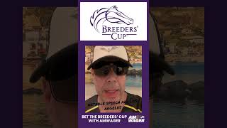 Breeders’ Cup thoughts Los Angeles surprise John’s shades dolcegabbana breederscup [upl. by Kern]