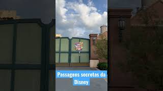 Passagens secretas da Disney disney shorts shortsvideo traveller travel hollywoodstudios [upl. by Allain]