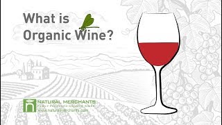 What is Organic Wine  Natural Merchants Organic Wine [upl. by Atiragram]