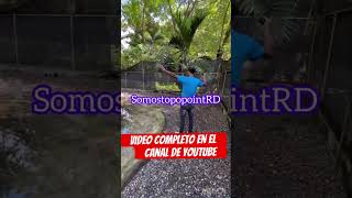 Le devolvieron el ganso viralshort viralvideo viralfood viralreels [upl. by Cassandre]