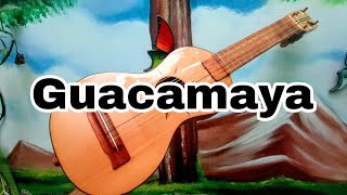 Jarana  Ep04  Guacamaya [upl. by Zeuqcaj]