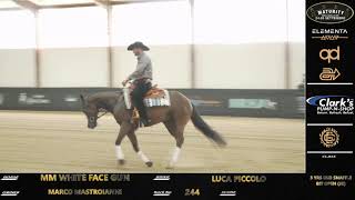 Maturity 2024  LUCA PICCOLO amp MM WHITE FACE GUN score 212 [upl. by Joselow]