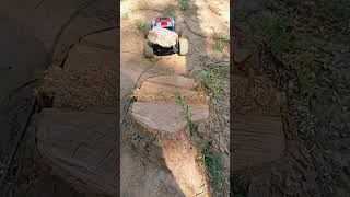 RC Car Off Roading rccars rccar race rccarfight [upl. by Anairda41]