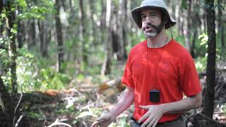 Archaeology at Coldbrook Plantation [upl. by Lombardy]