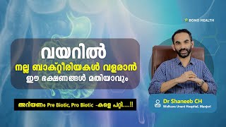 വയറിൽ നല്ല ബാക്റ്റീരിയകൾ വളരാൻ ഈ ഭക്ഷണങ്ങൾ മതിയാവും അറിയണം Pre Biotic Pro Biotic കളെ പറ്റി [upl. by Verda]