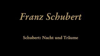 Franz Schubert  Nacht und Träume D 827 [upl. by Benildas493]