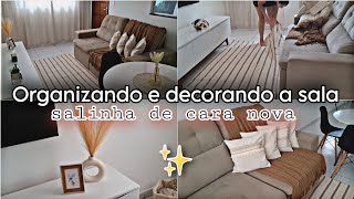 FAXINA E DECORAÇÃO NA SALA SALINHA DE CARA NOVA DECORANDO A SALA COM COMPRAS DA SHOPEE [upl. by Teak652]