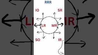 EYE MOVEMENTS TRICK PART 2 EXTRAOCULAR MUSCLES shorts [upl. by Ahsinyt]