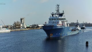 Erstanlauf  Horngruß HochseeMarineschlepper Rügen in wilhelmshaven 01022024  shipspotting [upl. by Nauqel15]