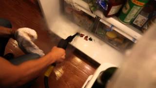 How to Steam Clean Refrigerator and Freezer  Daimer Steam Cleaners [upl. by Kuhn]