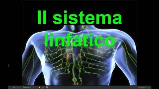 Scienze2 il sistema linfatico [upl. by Zel]