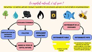 Le capital naturel amp la soutenabilité de la croissance faible et forte  1 notion en 2 minutes [upl. by Shirleen]