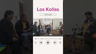 El Extraño Del Pelo Largo 🙍‍♂️ cullaguada folklore folkloreboliviano musica shorts kolla [upl. by Coulter344]