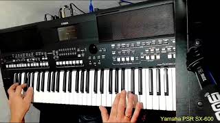 Modern TalkingWith A Little Love cover on Yamaha PSR SX600 [upl. by Amaso315]