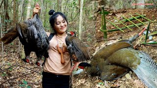 สาวดอย Hunting creative amazing traps for catching pheasant in jungle [upl. by Dlanor]