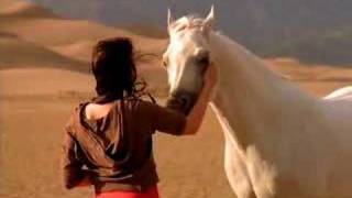 Arabian Horse Association TV Ad [upl. by Wearing]