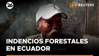 Quiteños regresan a sus casas destruidas tras los incendios forestales  Reuters [upl. by Suicul]