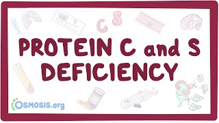 Protein C and S deficiency  causes symptoms diagnosis treatment pathology [upl. by Lesde553]