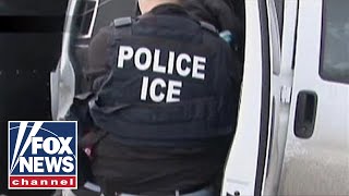 House passes resolution supporting ICE [upl. by Fleisher]