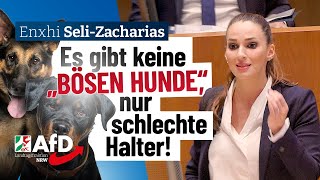 Es gibt keine „bösen Hunde“ nur schlechte Halter – Enxhi SeliZacharias AfD [upl. by Torrence]