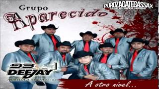 La Dama  Grupo Aparecido Carbonera SLP A Otro Nivel 2014 Album [upl. by Klemperer]