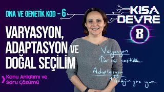 8 Sınıf Fen DNA ve Genetik Kod – 6 Varyasyon Adaptasyon Doğal Seçilim  Lightboard ile Ders 8 [upl. by Keir458]