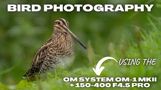 Bird Photography With the OM1 MKII and the 150400 F45 Pro in Belgium [upl. by Deyas983]