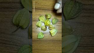 Golden Berry Fruits  Fruit Cutting skills  Potka fruit  kamariya dole dole shorts fruit [upl. by Yoj449]