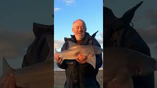 south Withernsea with a 8lb pb smoothound [upl. by Tereb]