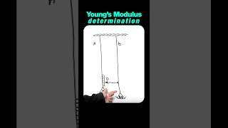 Searles Apparatus Experiment for Young Modulus [upl. by Sartin]