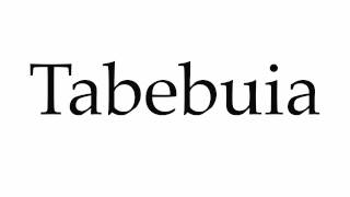 How to Pronounce Tabebuia [upl. by Onateyac]