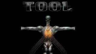 Tool  Salival 2000 FULL ALBUM [upl. by Ahsrat572]